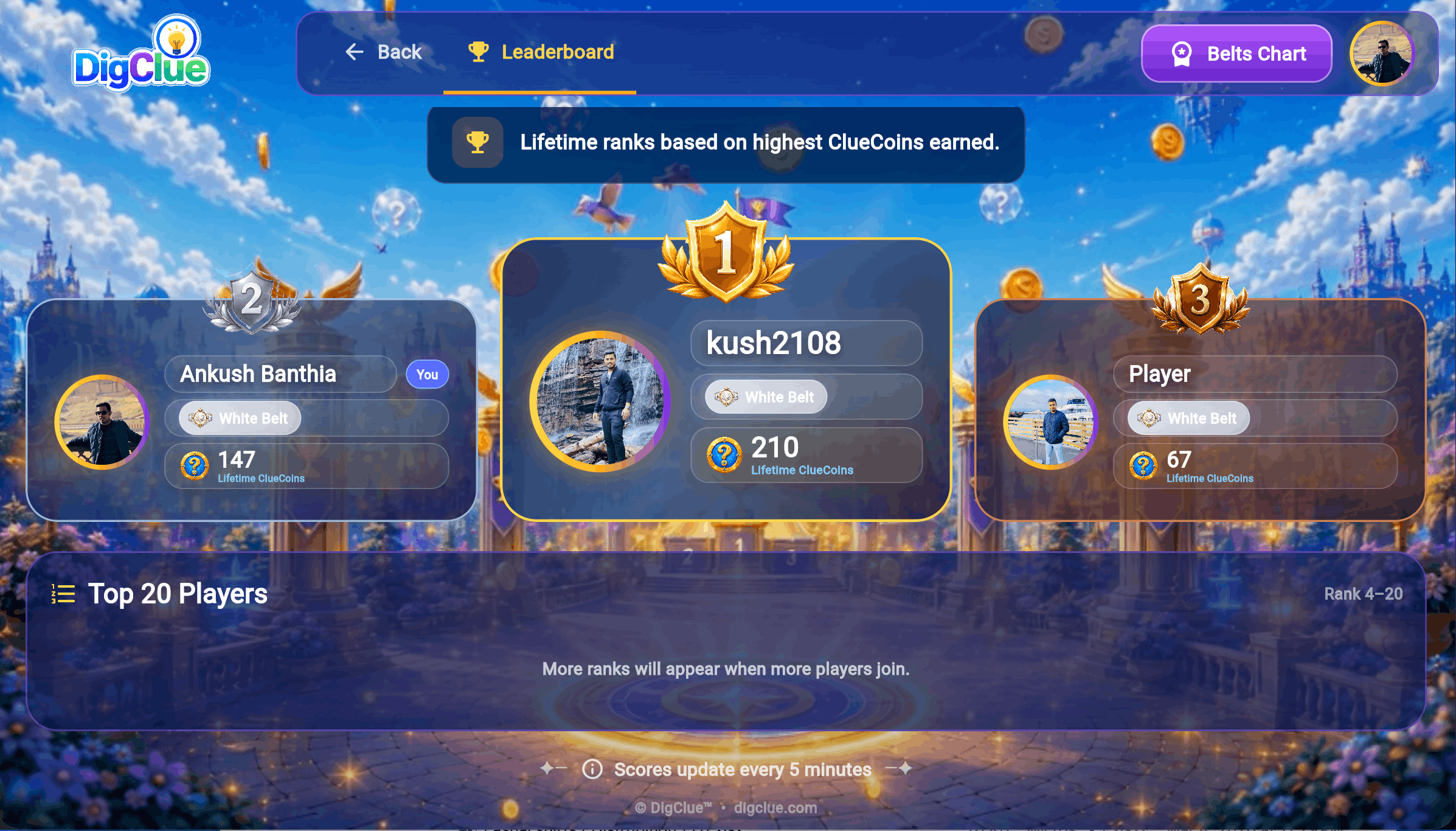 DigClue Leaderboard web screenshot