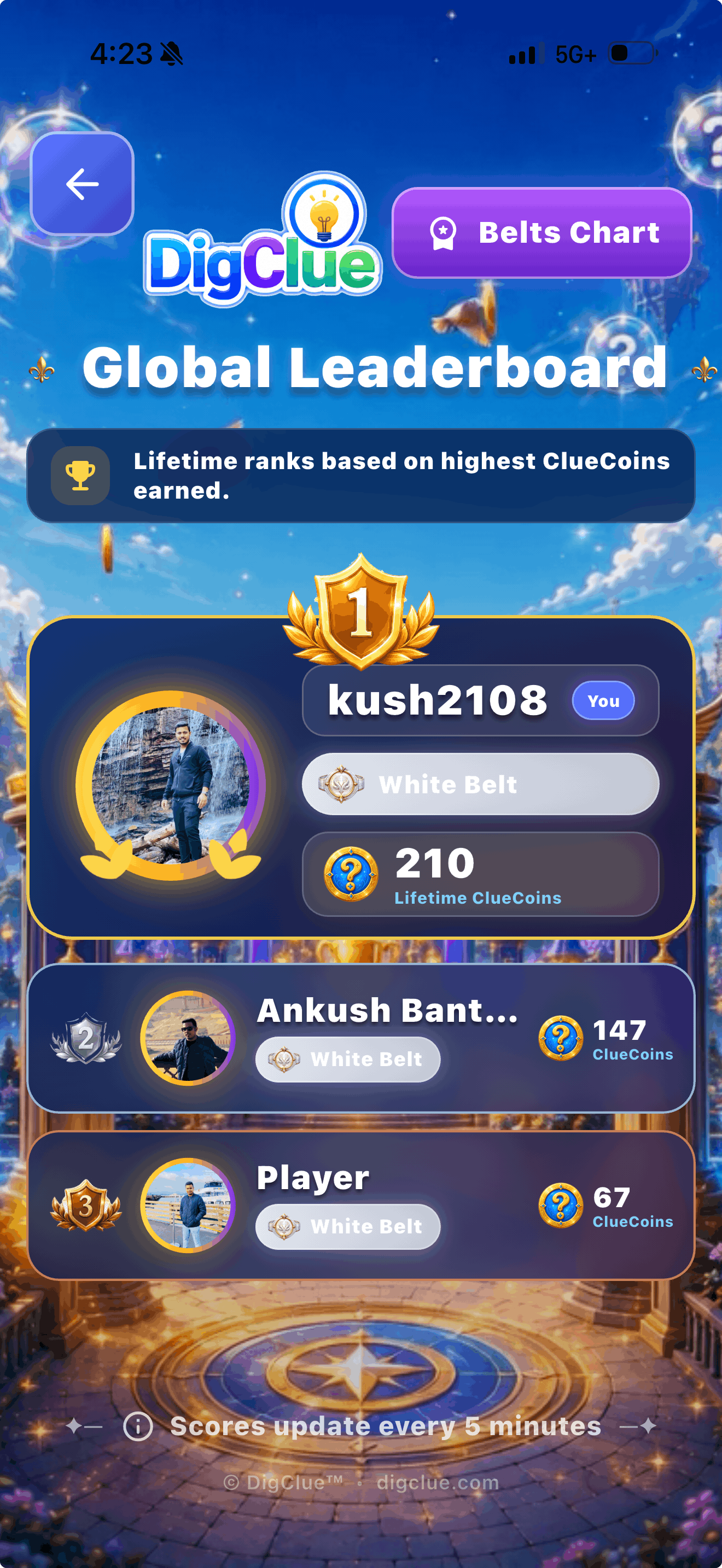 DigClue Leaderboard mobile screenshot